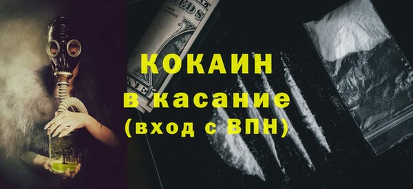 прущие грибы Михайловск
