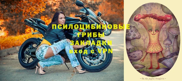 прущие грибы Михайловск