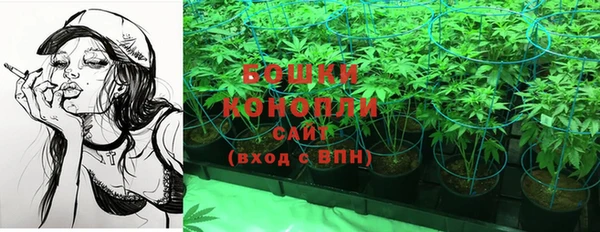 индика Навашино
