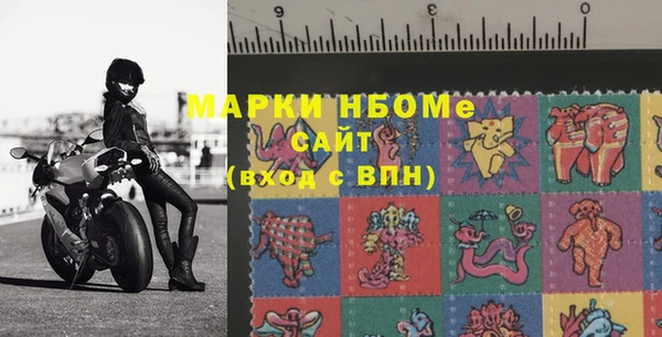 прущие грибы Михайловск