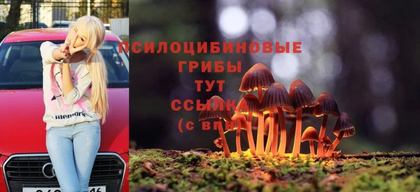 прущие грибы Михайловск