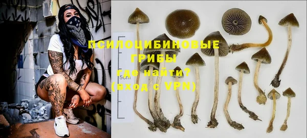 таблы Горнозаводск