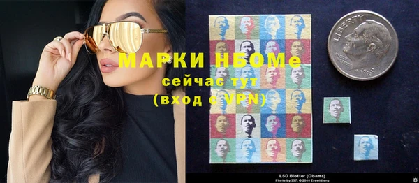 прущие грибы Михайловск