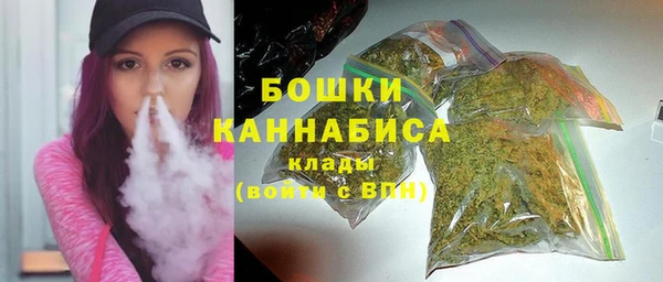 индика Навашино