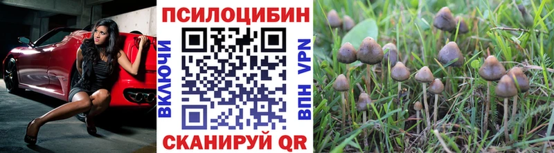 Галлюциногенные грибы MAGIC MUSHROOMS  Озёрск 